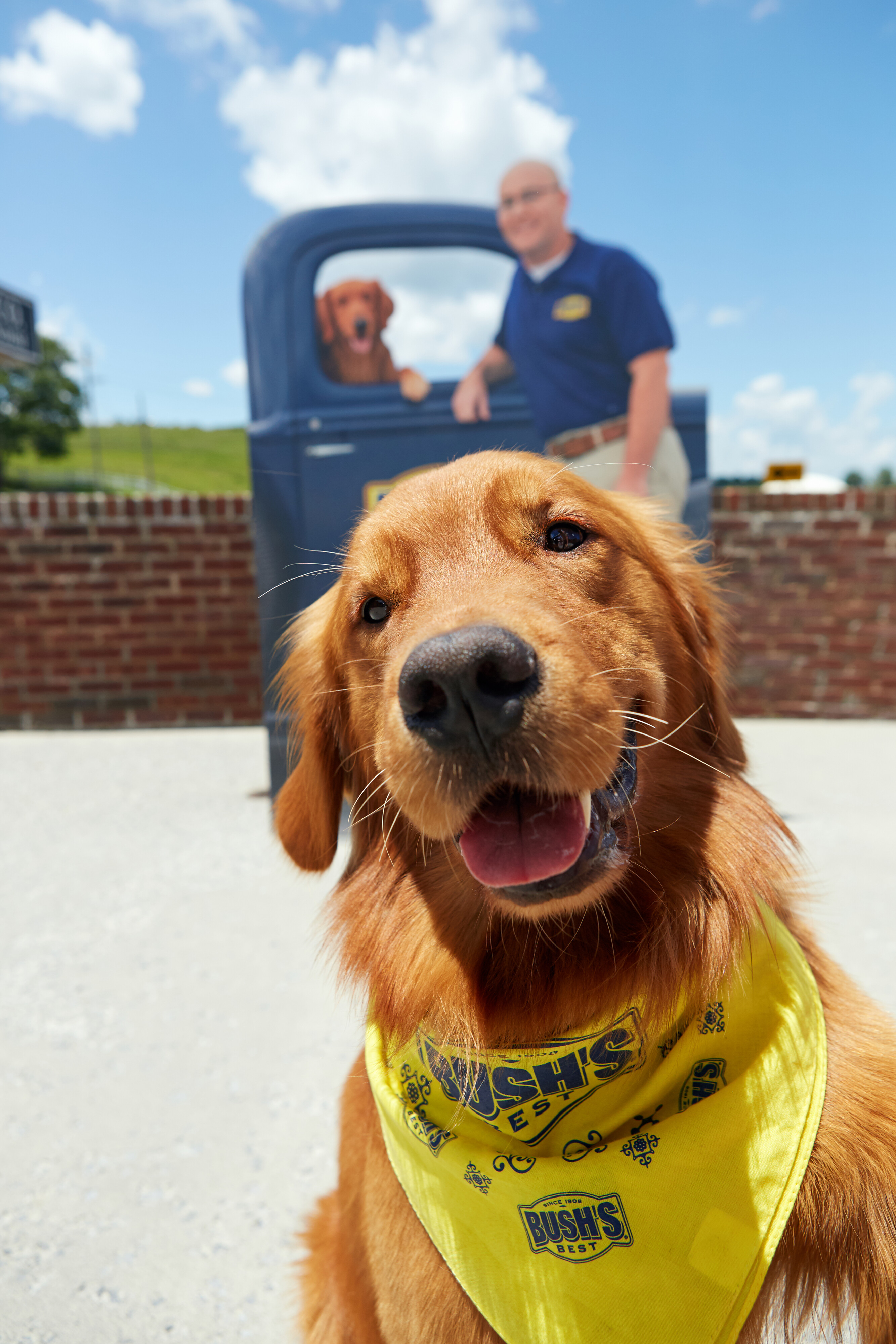 Are baked beans good for dogs sale