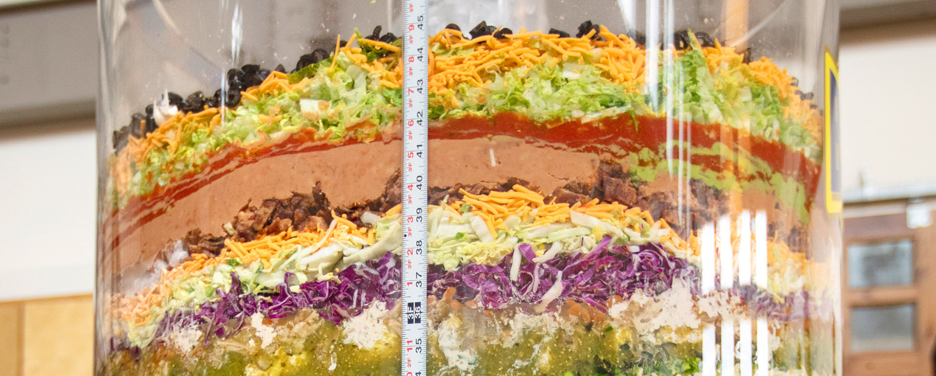 70 Layer Dip BUSH’S® Beans