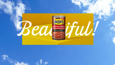 BUSH'S® Chili Magic® Potato Skins