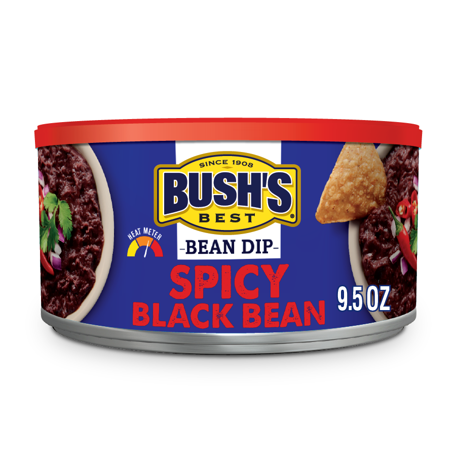 Spicy Black Bean Dip | BUSH'S® Beans